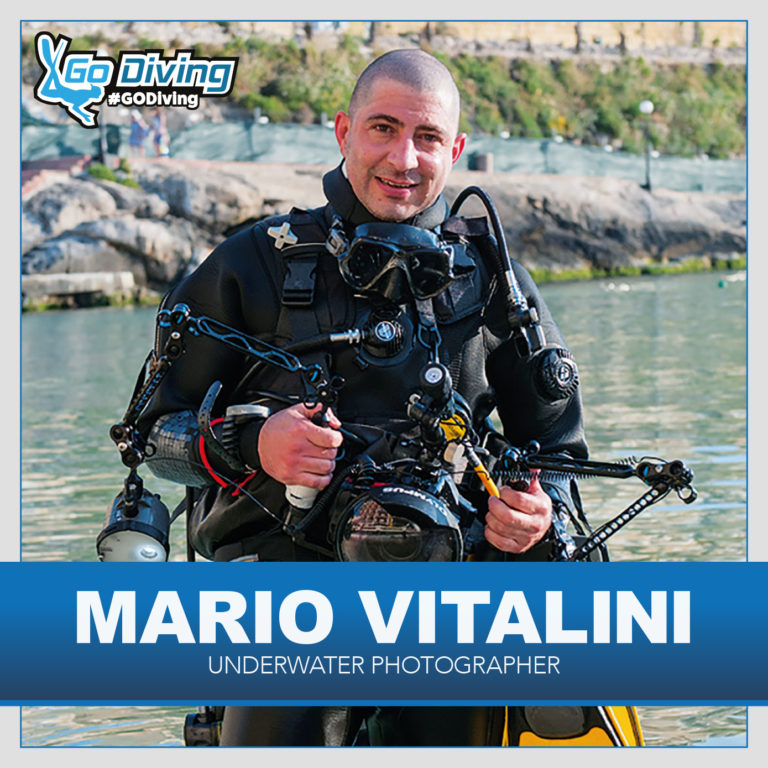 Mario Vitalini