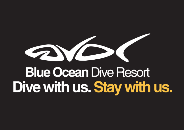 Blue Ocean Black Logo High Res